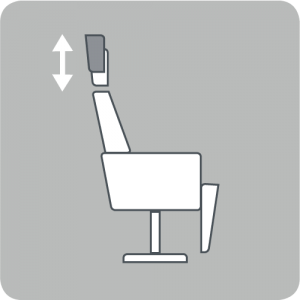 Adjustable headrest height