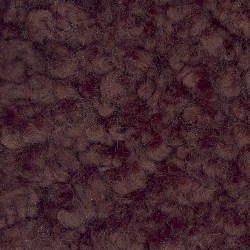 007 wellington brown