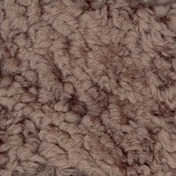 009 wellington mushroom 