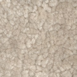 003 wellington nature