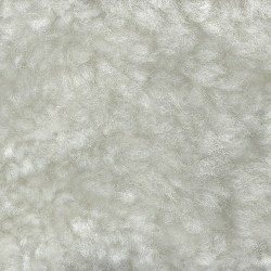 006 wellington white